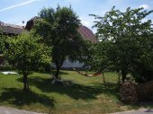 Obstbäume vor dem Haus