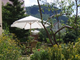 Garten und Sonnenschirm