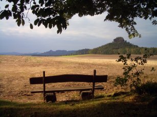 img_005